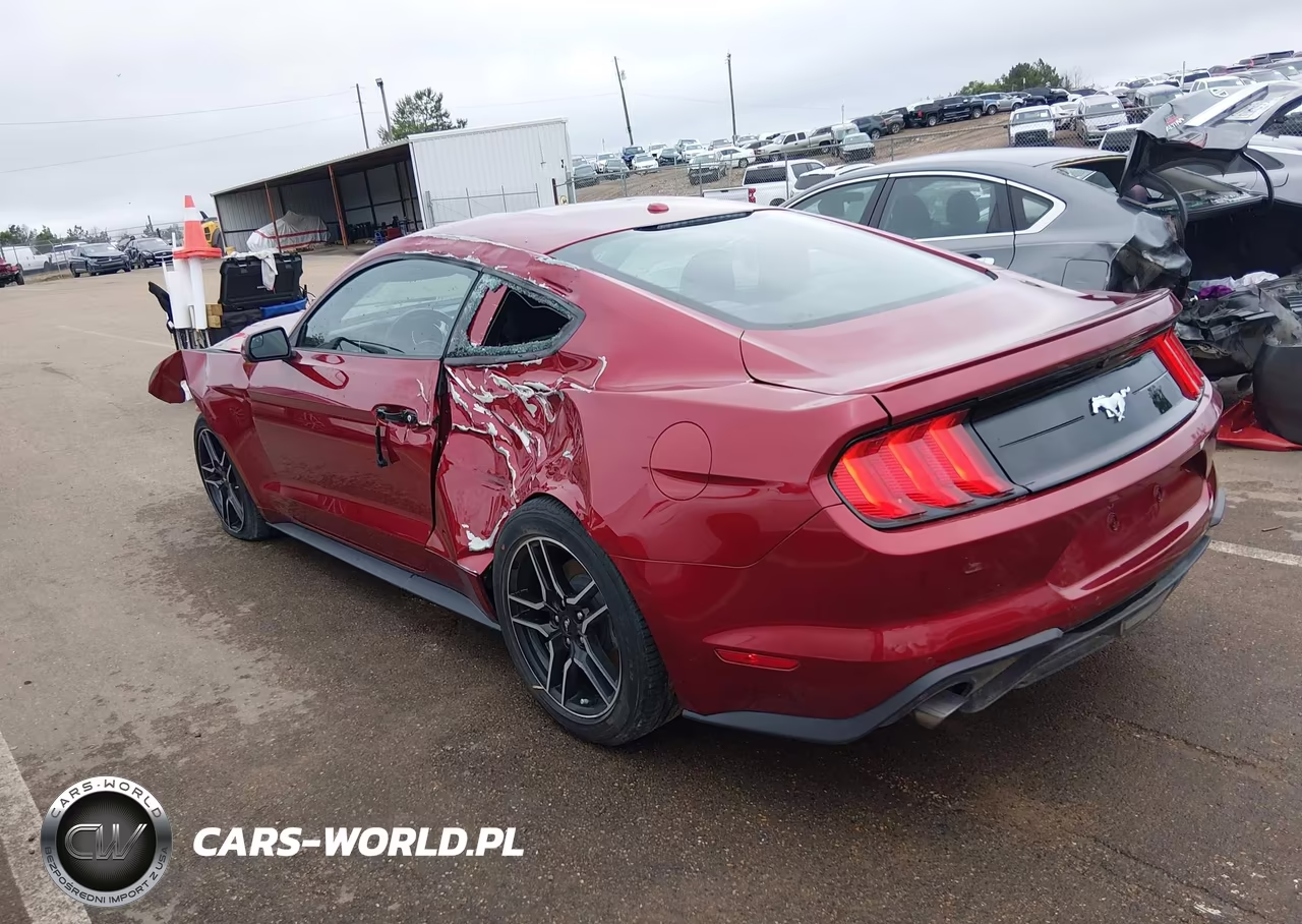 2019 Ford Mustang Ecoboost VIN:1FA6P8TH1K5177948 - 3