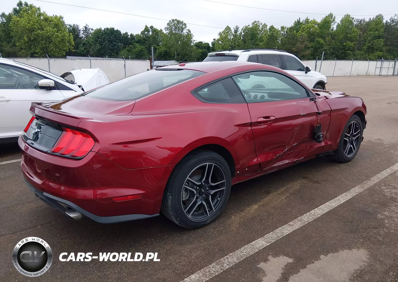 2019 Ford Mustang Ecoboost VIN:1FA6P8TH1K5177948 - 4