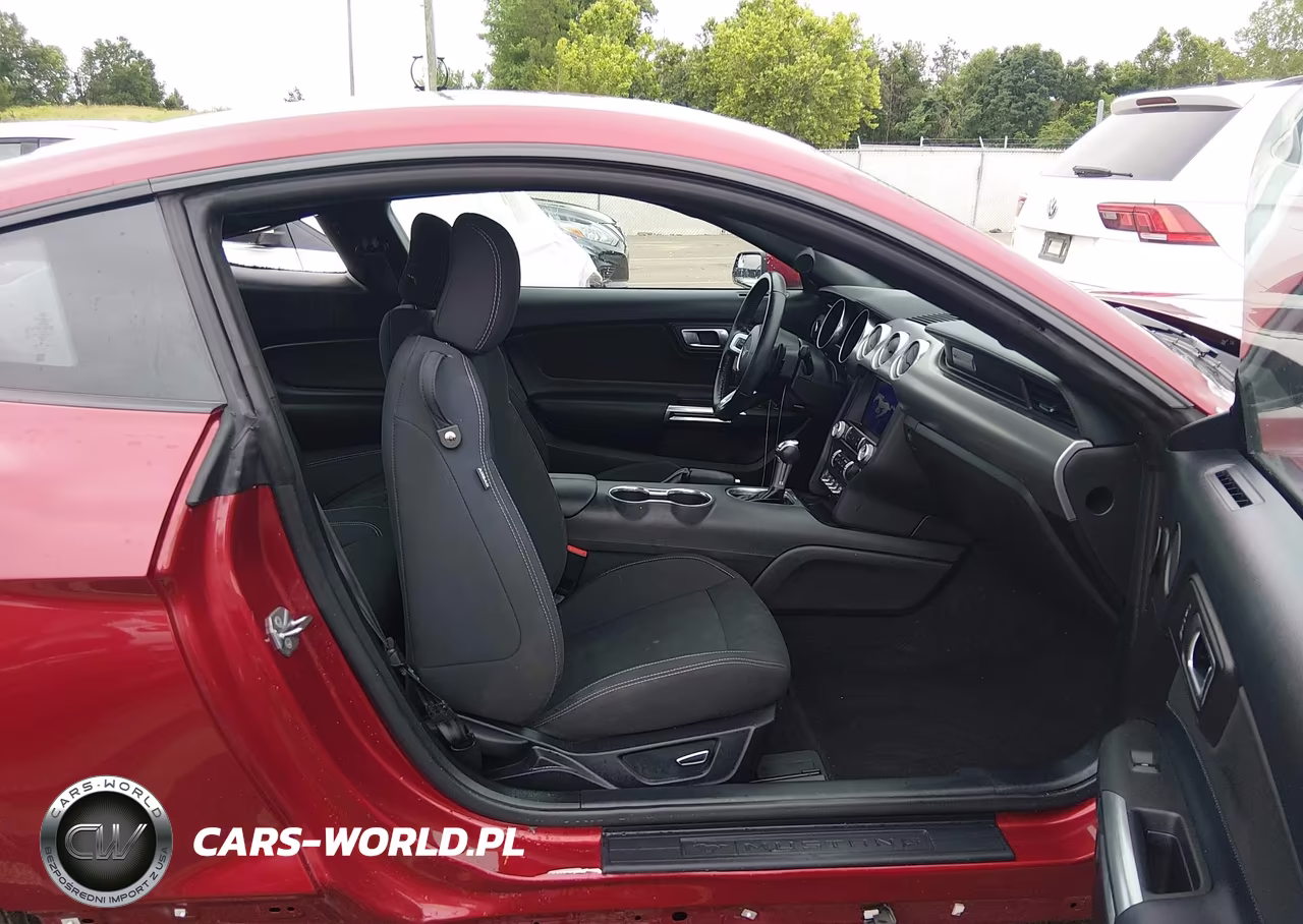 2019 Ford Mustang Ecoboost VIN:1FA6P8TH1K5177948 - 5