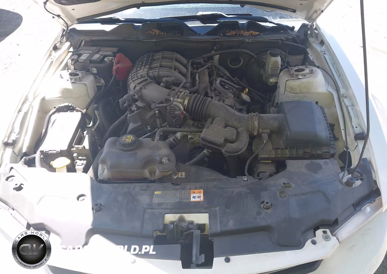 2012 Ford Mustang V6 Premium VIN:1ZVBP8AM7C5246441 - 10