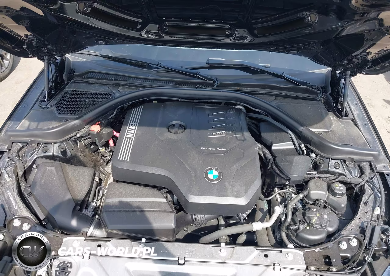 2025 BMW 230I xDrive VIN:3MW33CM03S8F04631 - 10