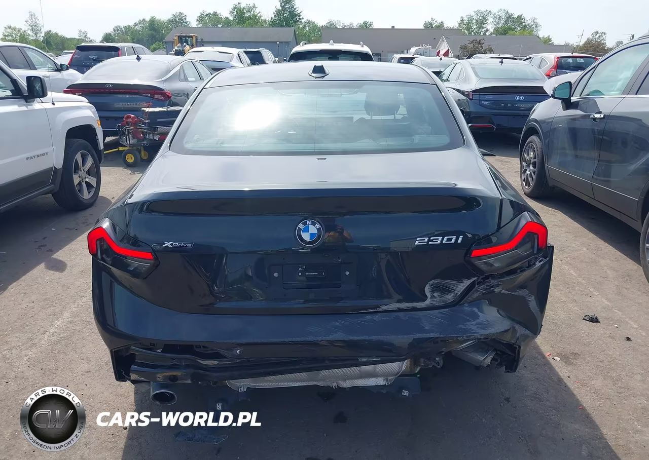 2025 BMW 230I xDrive VIN:3MW33CM03S8F04631 - 16