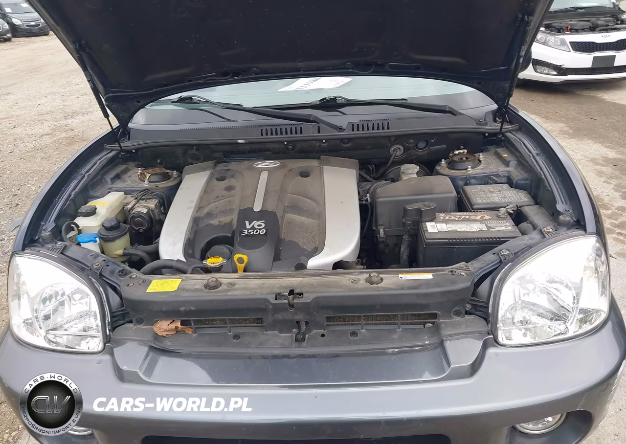 2005 Hyundai Santa Fe Gls-Lx VIN:KM8SC73E55U855546 - 10