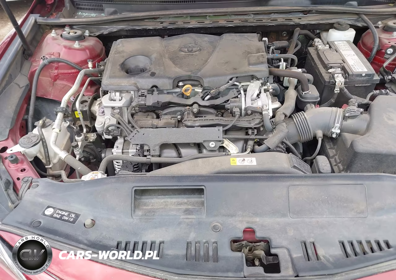 2019 Toyota Camry Xle VIN:4T1B11HK9KU256856 - 10