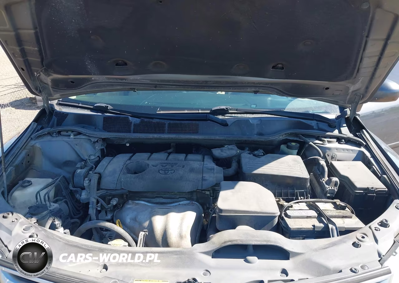 2010 Toyota Venza VIN:4T3ZA3BB2AU025533 - 10