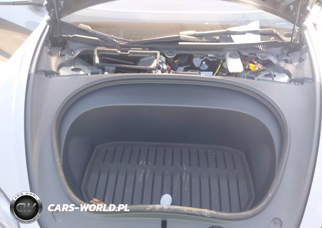 2025 Tesla Model 3 Long Range Rear-Wheel Drive-Standard Rear-Wheel Drive VIN:5YJ3E1EA6SF010784 - 10