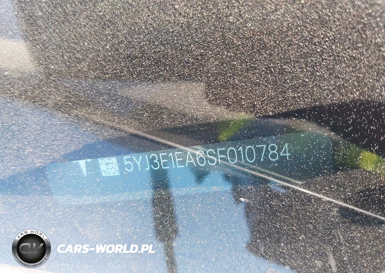 2025 Tesla Model 3 Long Range Rear-Wheel Drive-Standard Rear-Wheel Drive VIN:5YJ3E1EA6SF010784 - 9