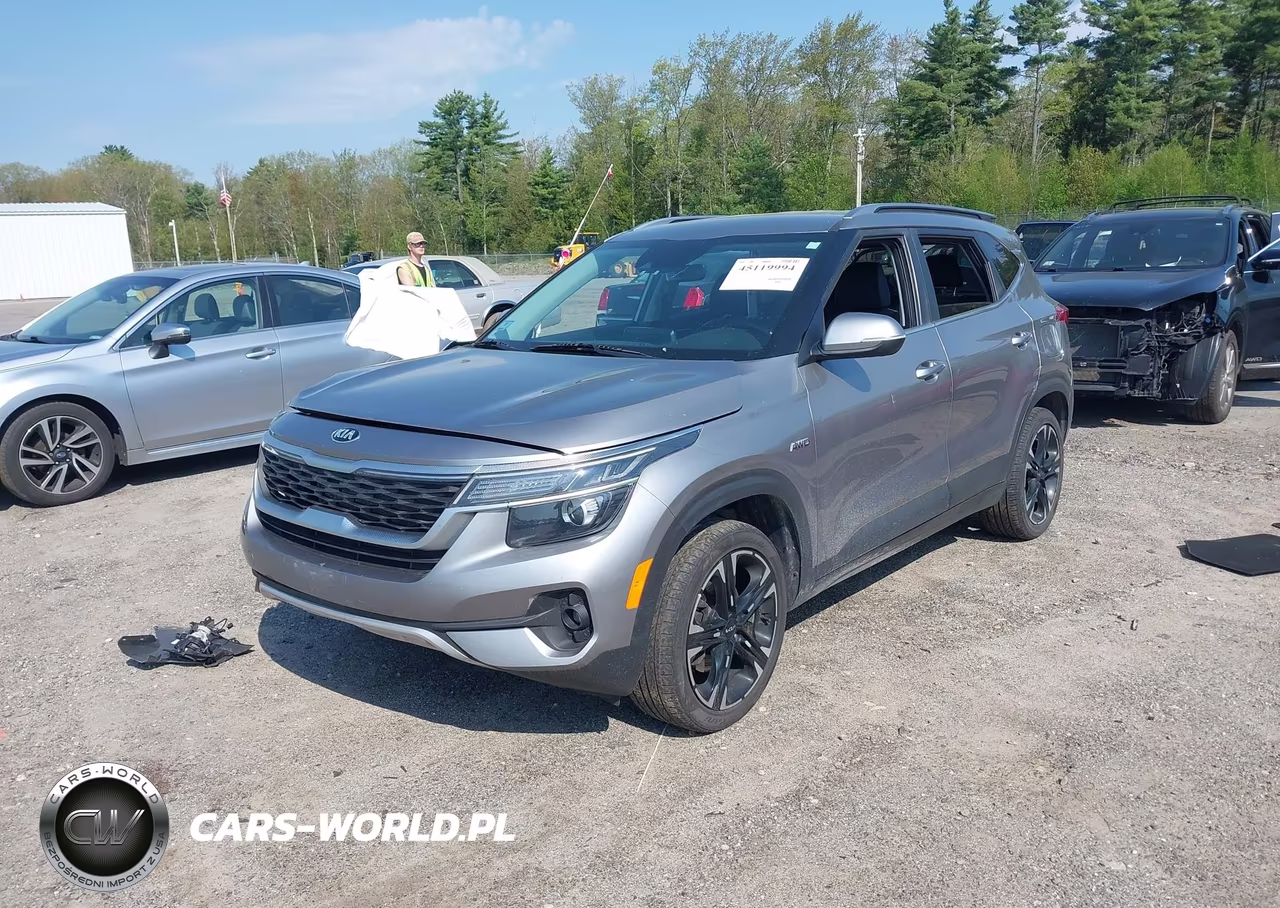 2021 Kia Seltos S VIN:KNDEUCAA7M7166239 - 2