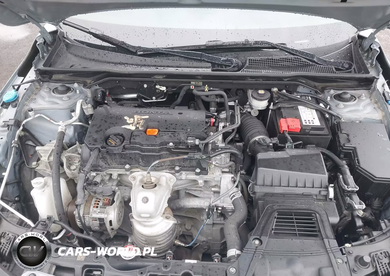 2024 Honda Civic Sport VIN:2HGFE2F57RH508776 - 10