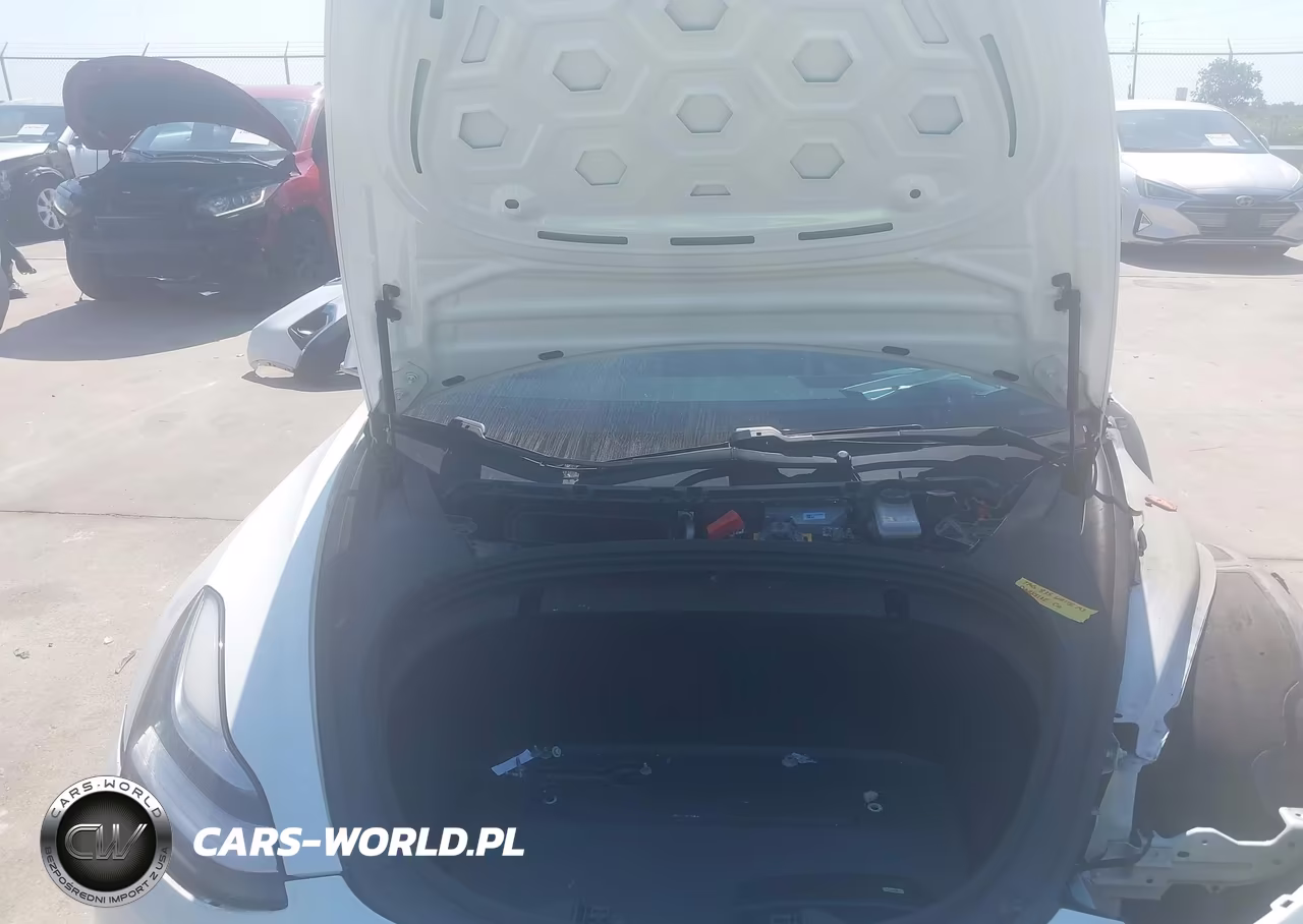 2020 Tesla Model 3 Long Range Dual Motor All-Wheel Drive VIN:5YJ3E1EB9LF742661 - 10