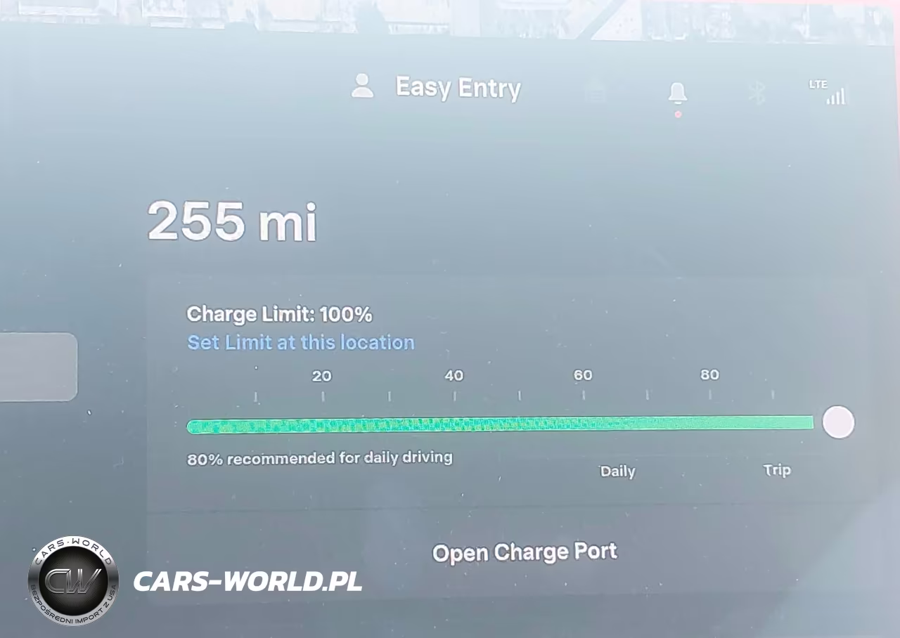 2020 Tesla Model 3 Long Range Dual Motor All-Wheel Drive VIN:5YJ3E1EB9LF742661 - 16