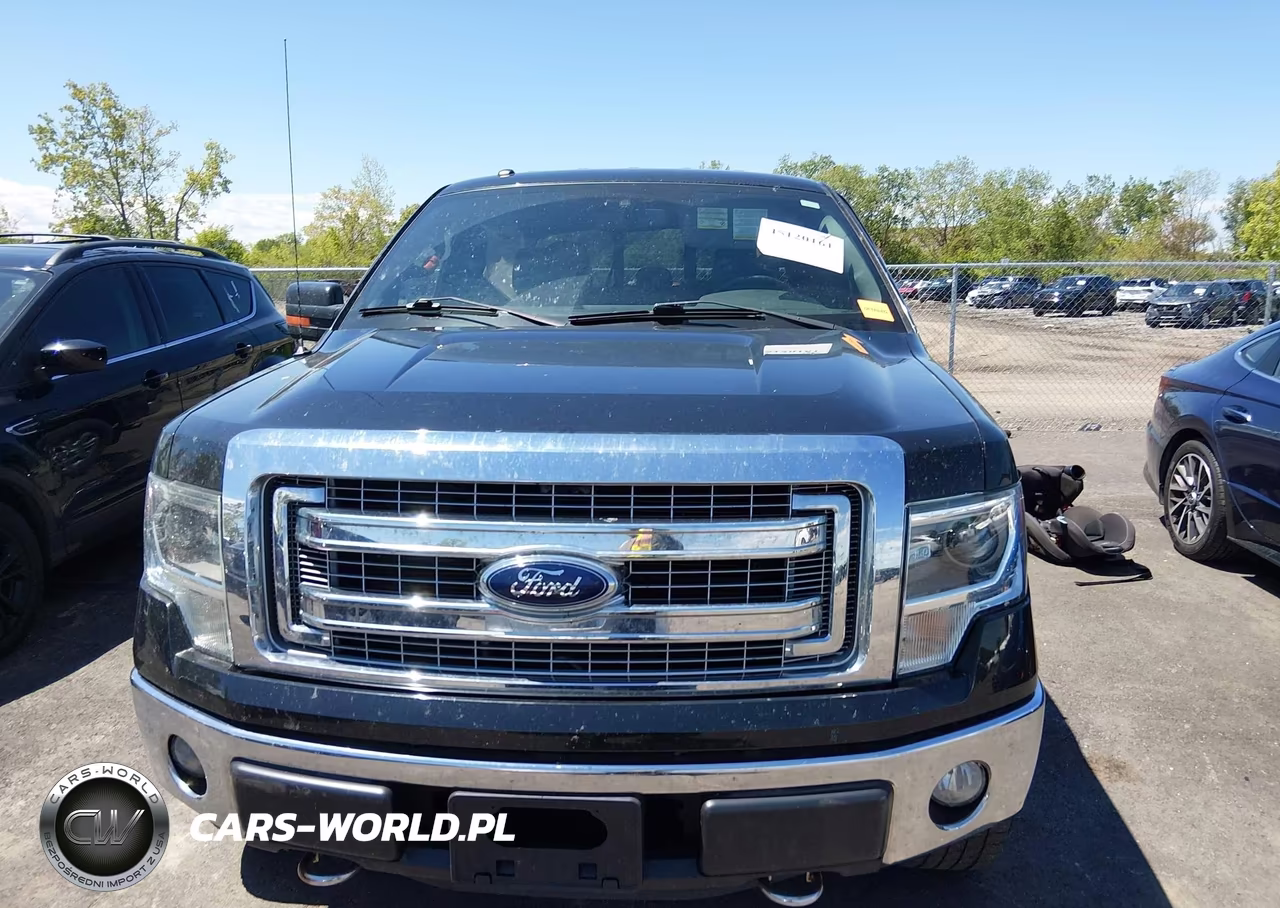 2014 Ford F-150 Xlt VIN:1FTFW1EF7EFB15596 - 12
