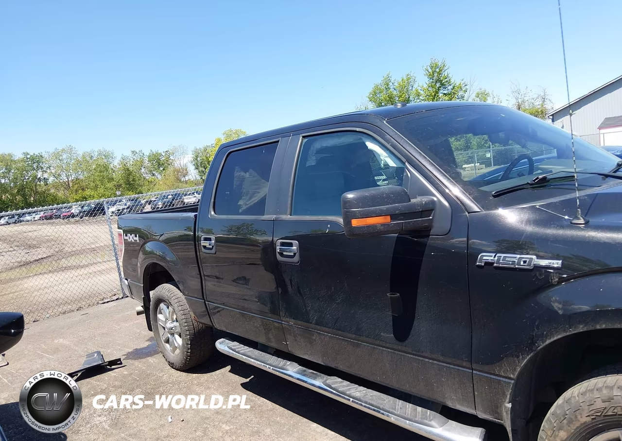 2014 Ford F-150 Xlt VIN:1FTFW1EF7EFB15596 - 13