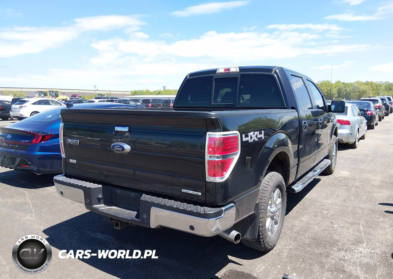 2014 Ford F-150 Xlt VIN:1FTFW1EF7EFB15596 - 4