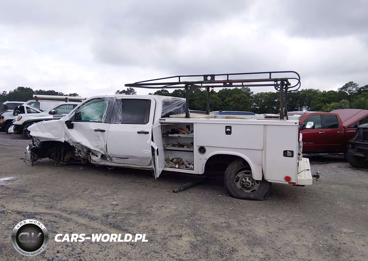 2020 Chevrolet Silverado 2500Hd 2Wd Long Bed Wt VIN:1GB4WLE70LF346479 - 17