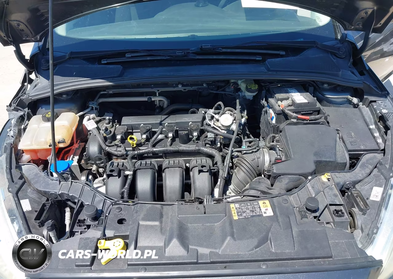 2016 Ford Focus S VIN:1FADP3E21GL359994 - 10