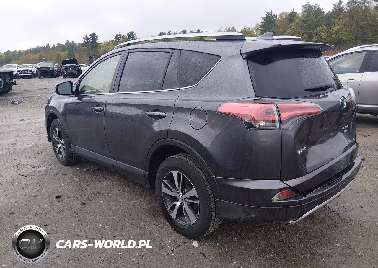 2018 Toyota Rav4 Xle VIN:JTMRFREV8JJ182413 - 3