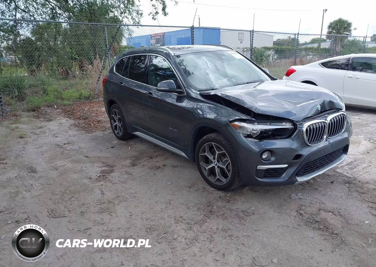 2018 BMW X1 Sdrive28I – zdjęcie 1 z 16