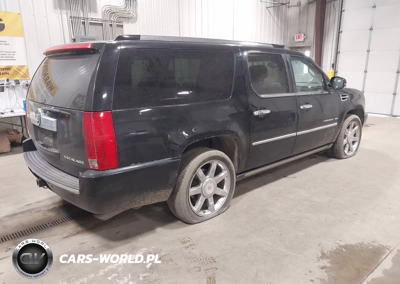 2011 Cadillac Escalade Esv Premium VIN:1GYS4JEF8BR166064 - 4
