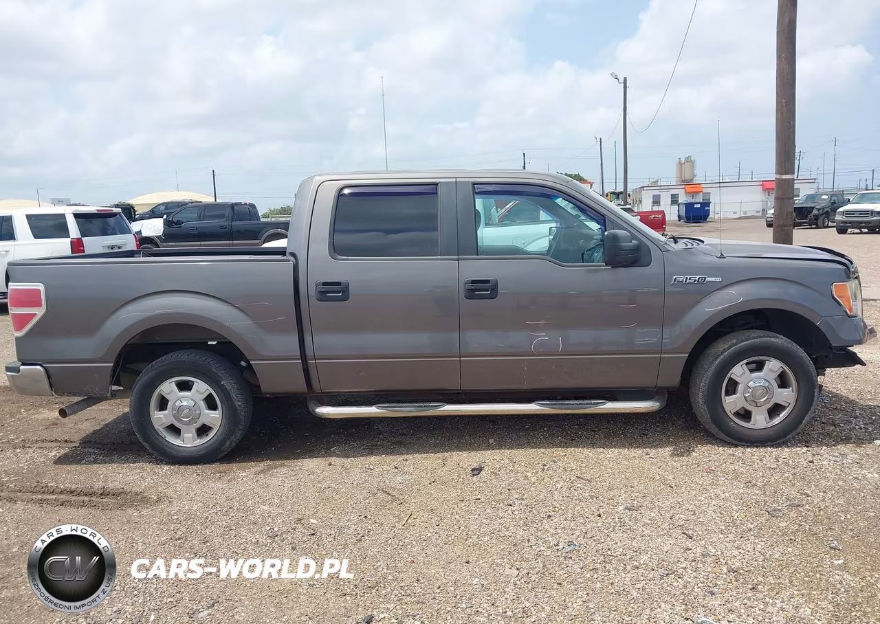 2013 Ford F-150 Xlt VIN:1FTEW1CMXDKF03490 - 13