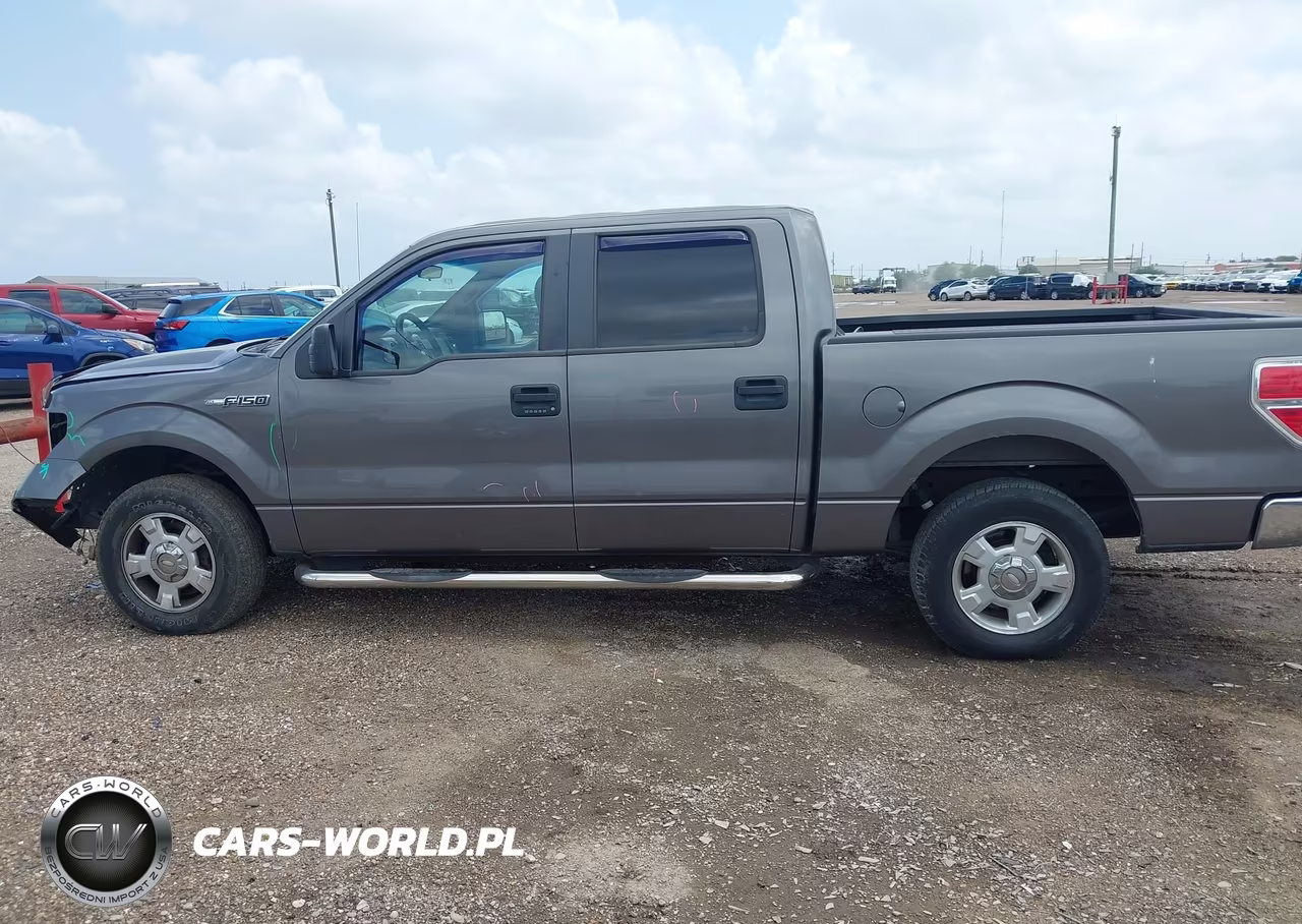2013 Ford F-150 Xlt VIN:1FTEW1CMXDKF03490 - 14