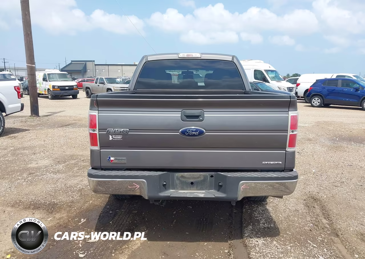 2013 Ford F-150 Xlt VIN:1FTEW1CMXDKF03490 - 16