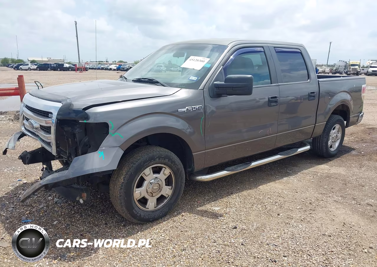 2013 Ford F-150 Xlt VIN:1FTEW1CMXDKF03490 - 2