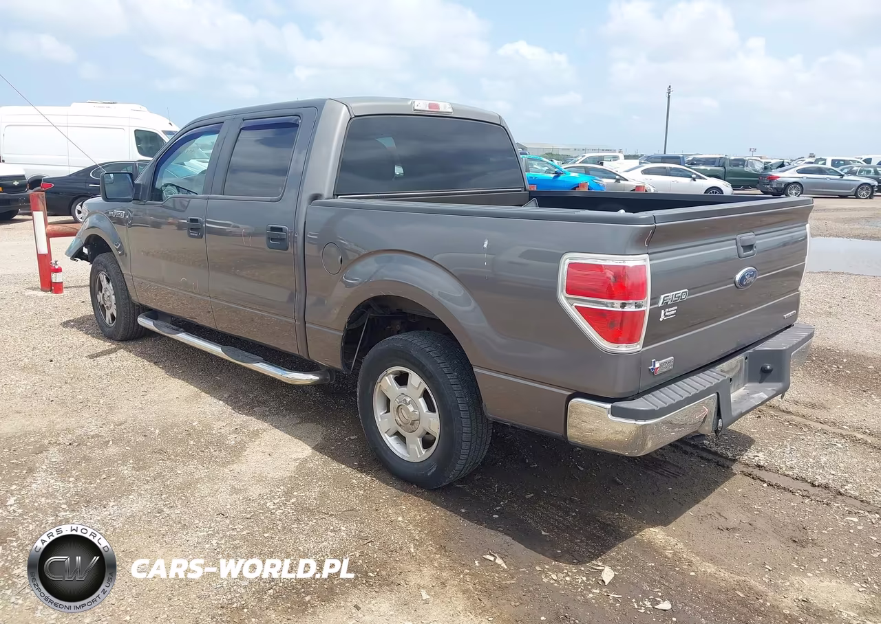 2013 Ford F-150 Xlt VIN:1FTEW1CMXDKF03490 - 3