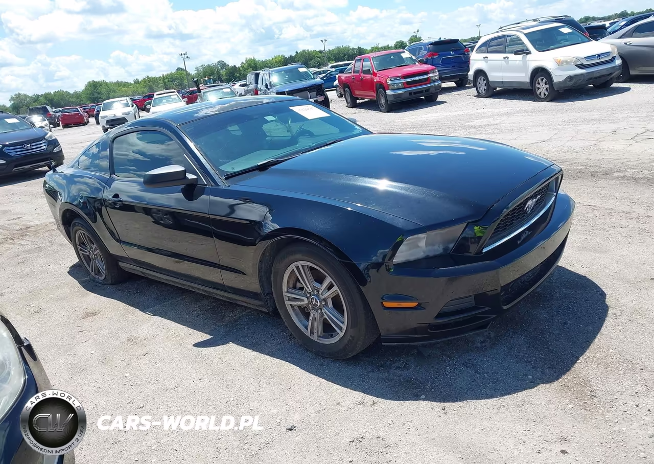 Główne zdjęcie 2014 Ford Mustang V6