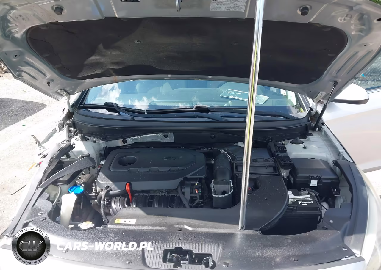 2015 Hyundai Sonata Se VIN:5NPE24AF1FH217787 - 10