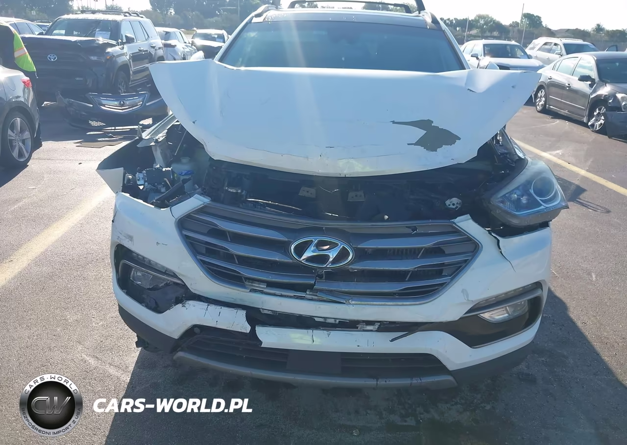 2018 Hyundai Santa Fe Sport 2.0T Ultimate VIN:5XYZW4LA7JG516644 - 6
