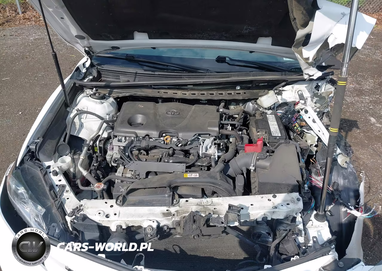 2019 Toyota Camry Le VIN:4T1B11HK8KU754420 - 10