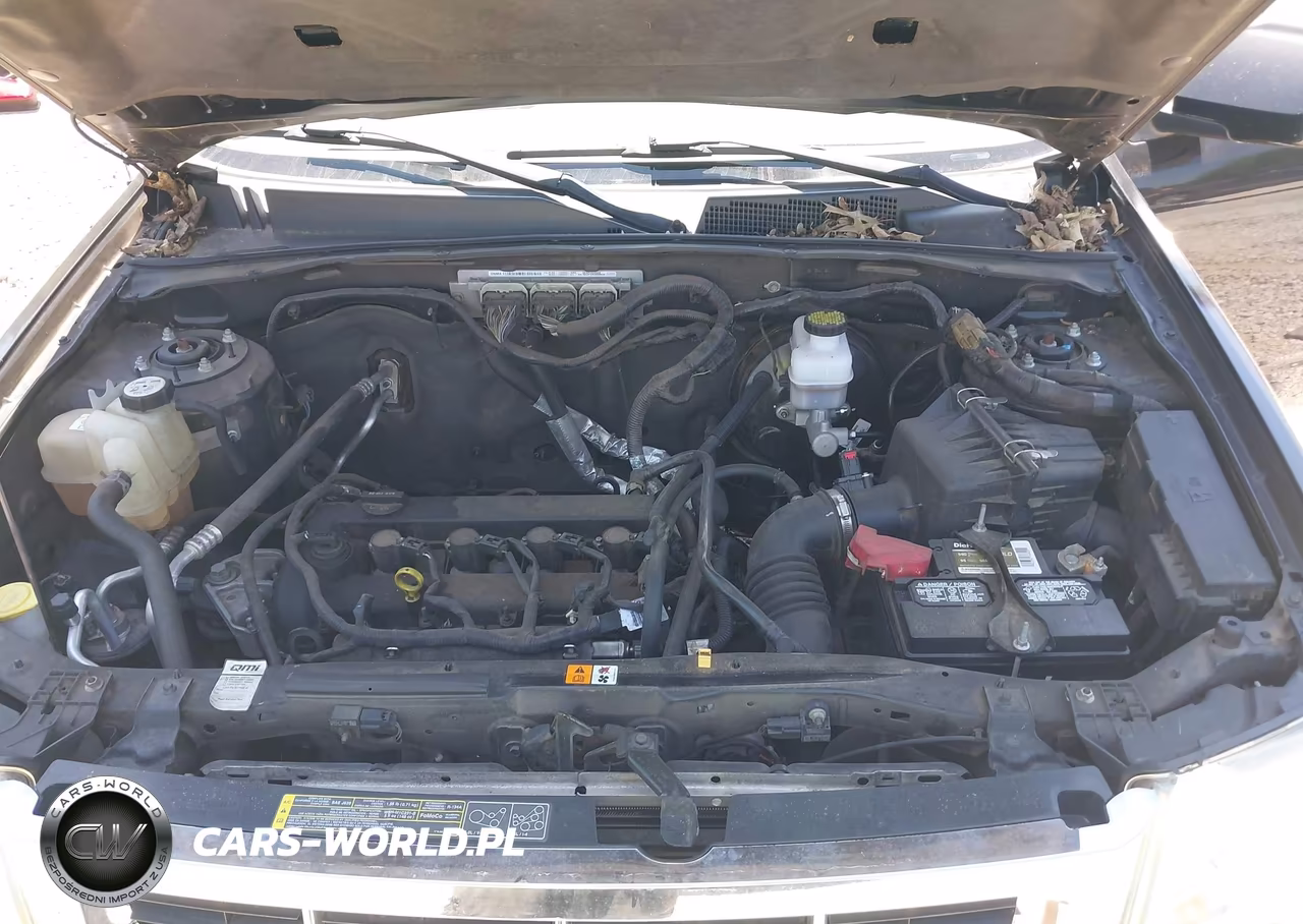 2011 Ford Escape Limited VIN:1FMCU0E70BKA39407 - 10