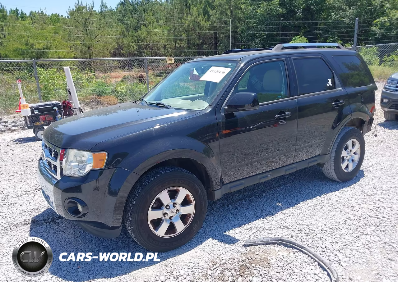 2011 Ford Escape Limited VIN:1FMCU0E70BKA39407 - 2