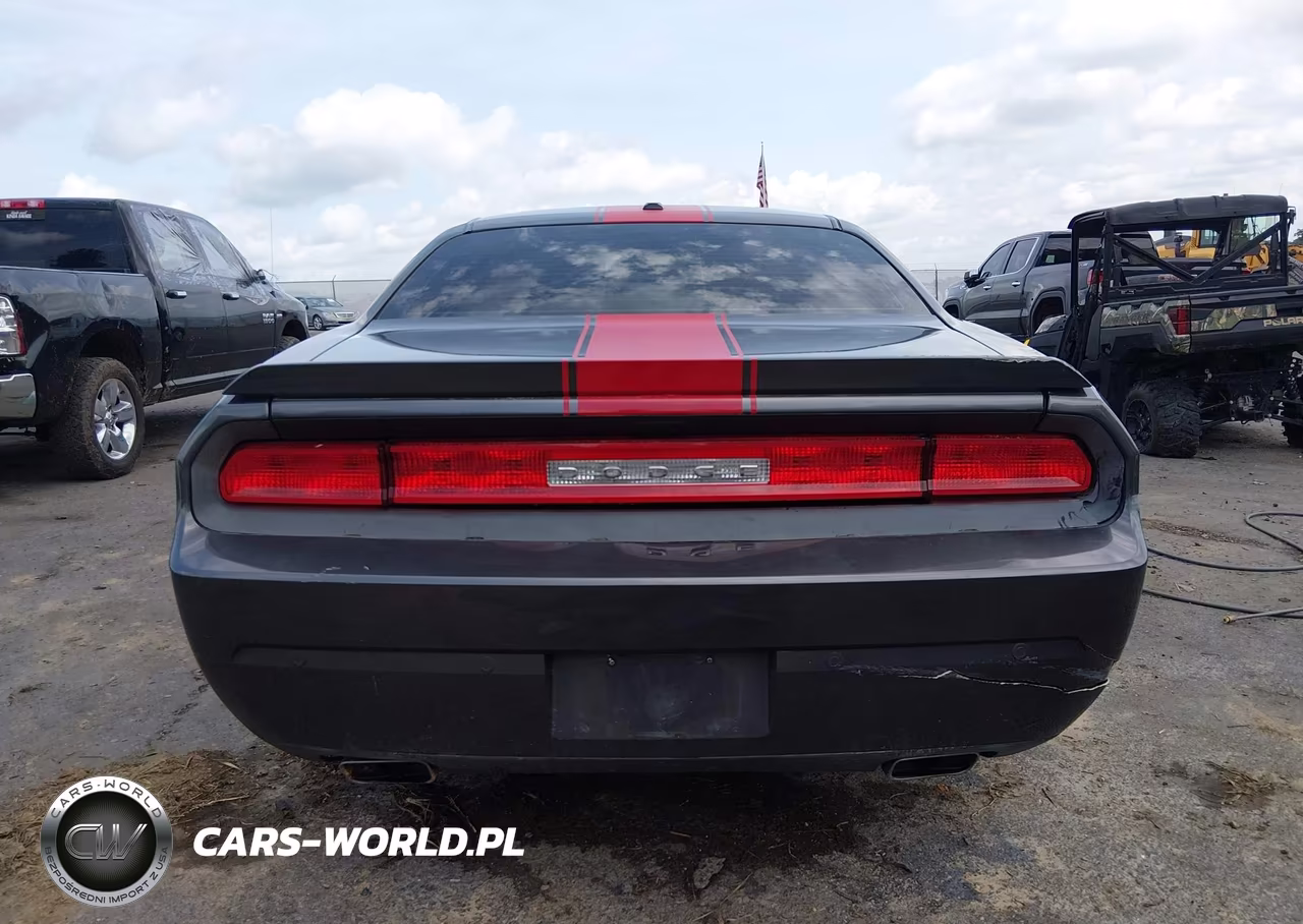 2014 Dodge Challenger Rallye Redline VIN:2C3CDYAG6EH116709 - 17