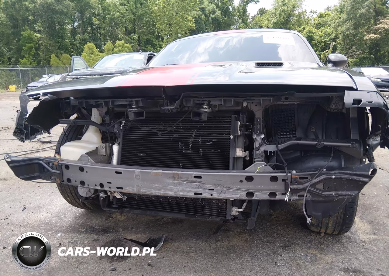 2014 Dodge Challenger Rallye Redline VIN:2C3CDYAG6EH116709 - 6