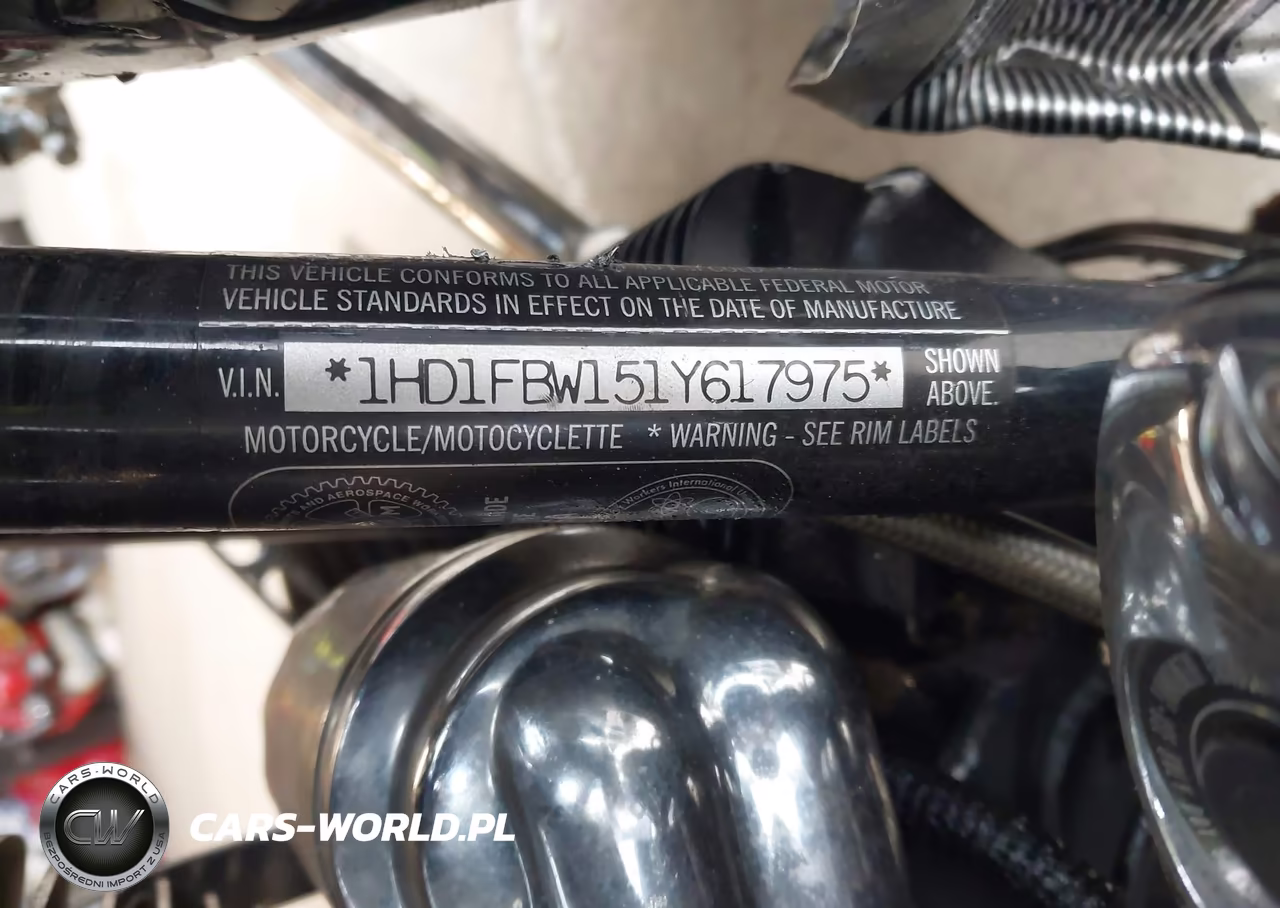 2001 Harley-Davidson Flhri VIN:1HD1FBW151Y617975 - 10