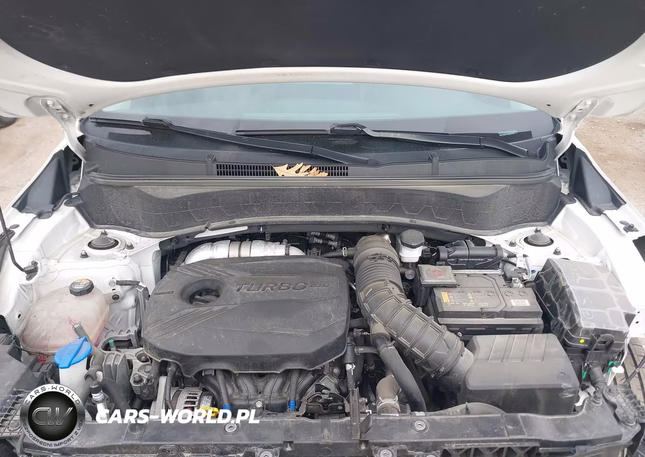 2021 Kia Seltos Sx Turbo VIN:KNDETCA28M7137974 - 10