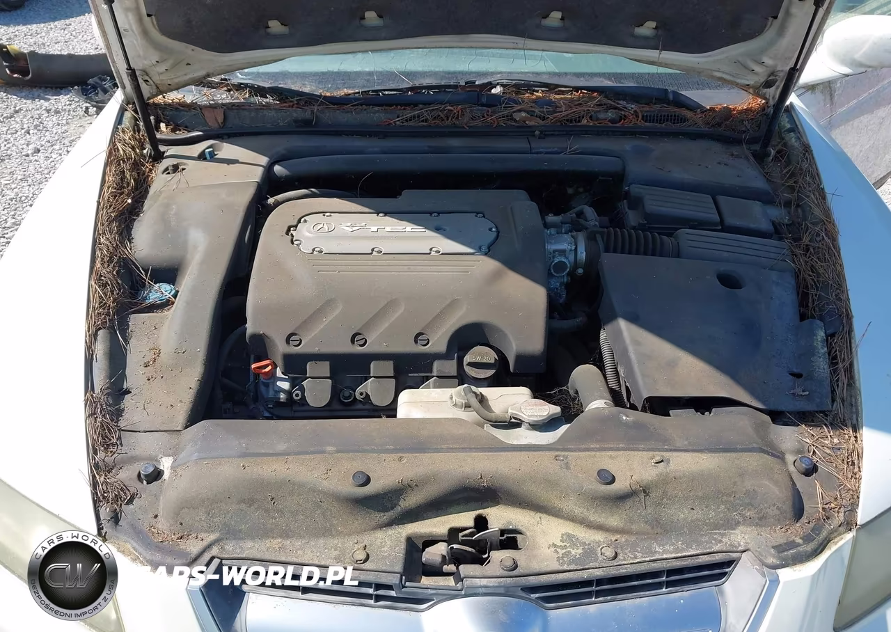 2004 Acura Tl VIN:19UUA66204A024990 - 10