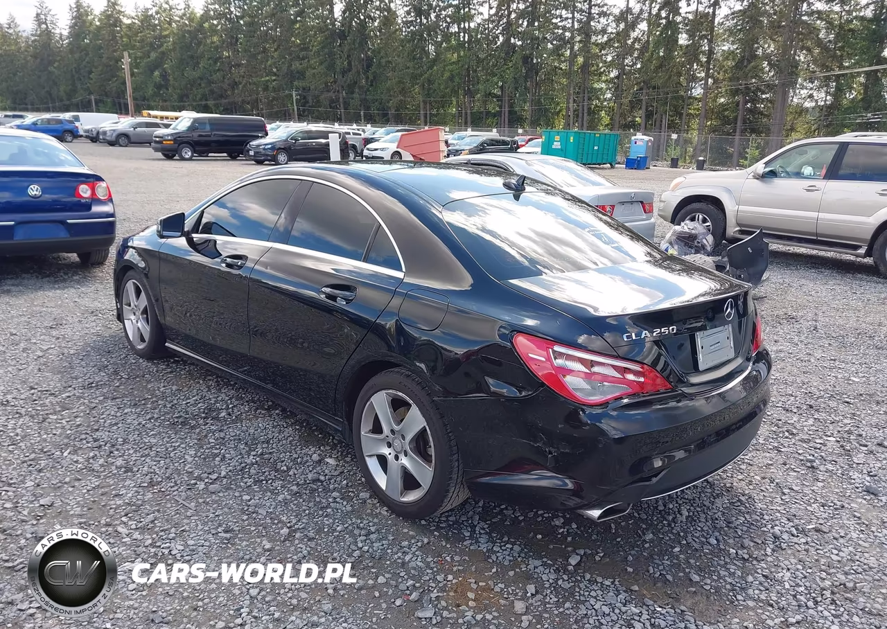 2016 Mercedes-Benz Cla 250 VIN:WDDSJ4EB3GN325025 - 3