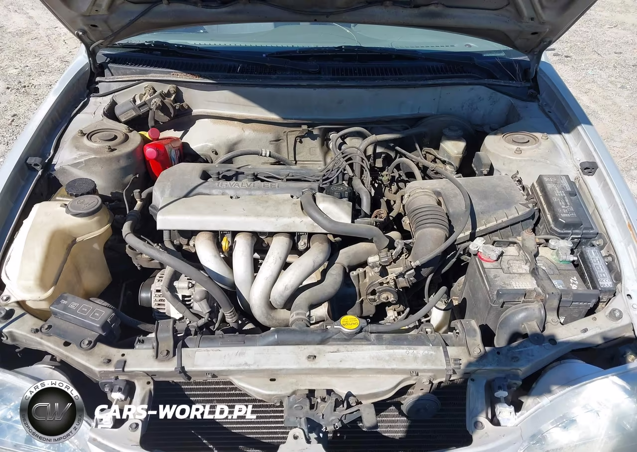 1999 Toyota Corolla Ve VIN:1NXBR12EXXZ288475 - 10