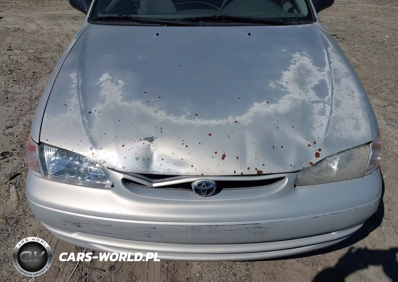 1999 Toyota Corolla Ve VIN:1NXBR12EXXZ288475 - 12