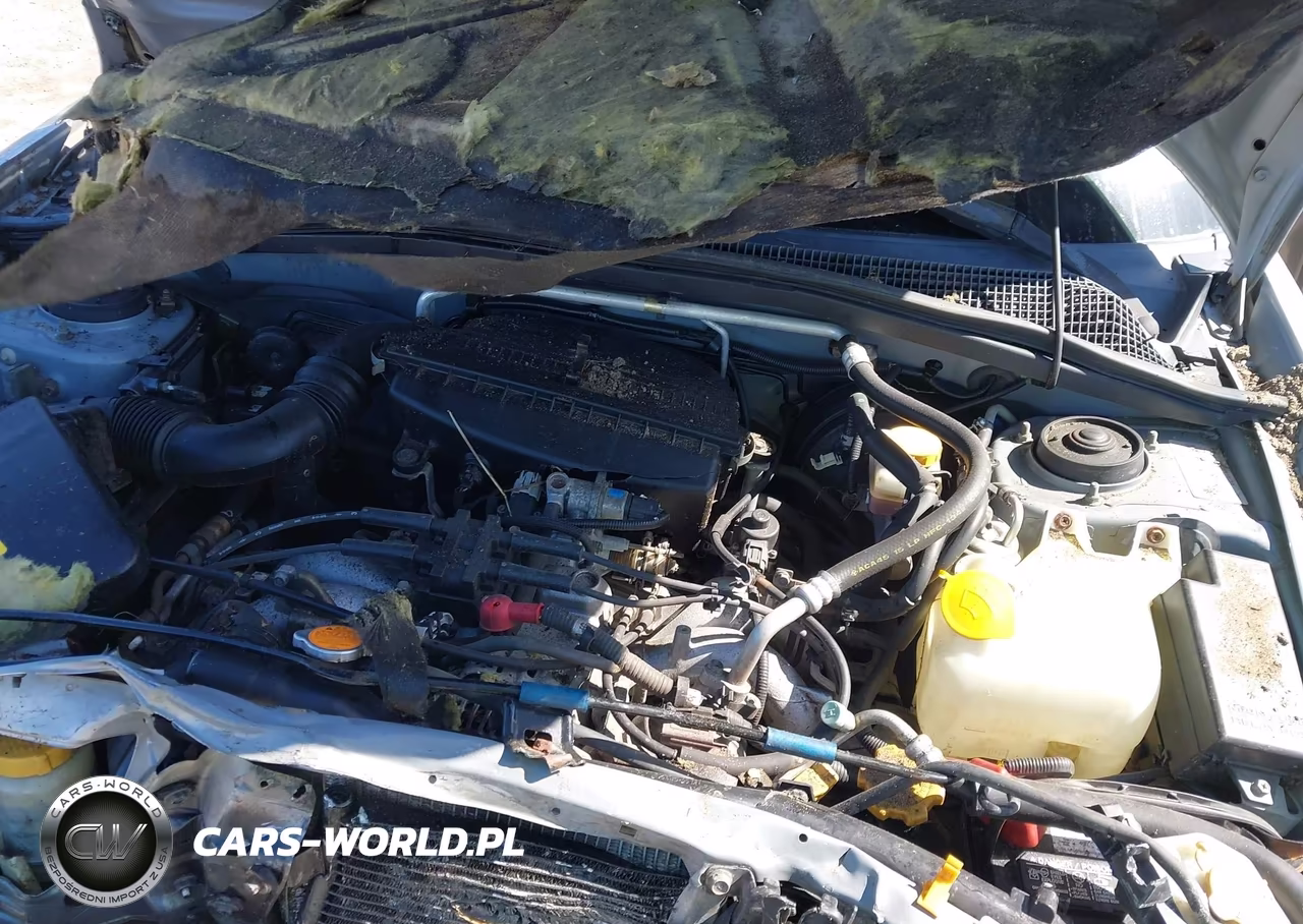 2004 Subaru Forester 2.5Xs VIN:JF1SG65644H723366 - 10