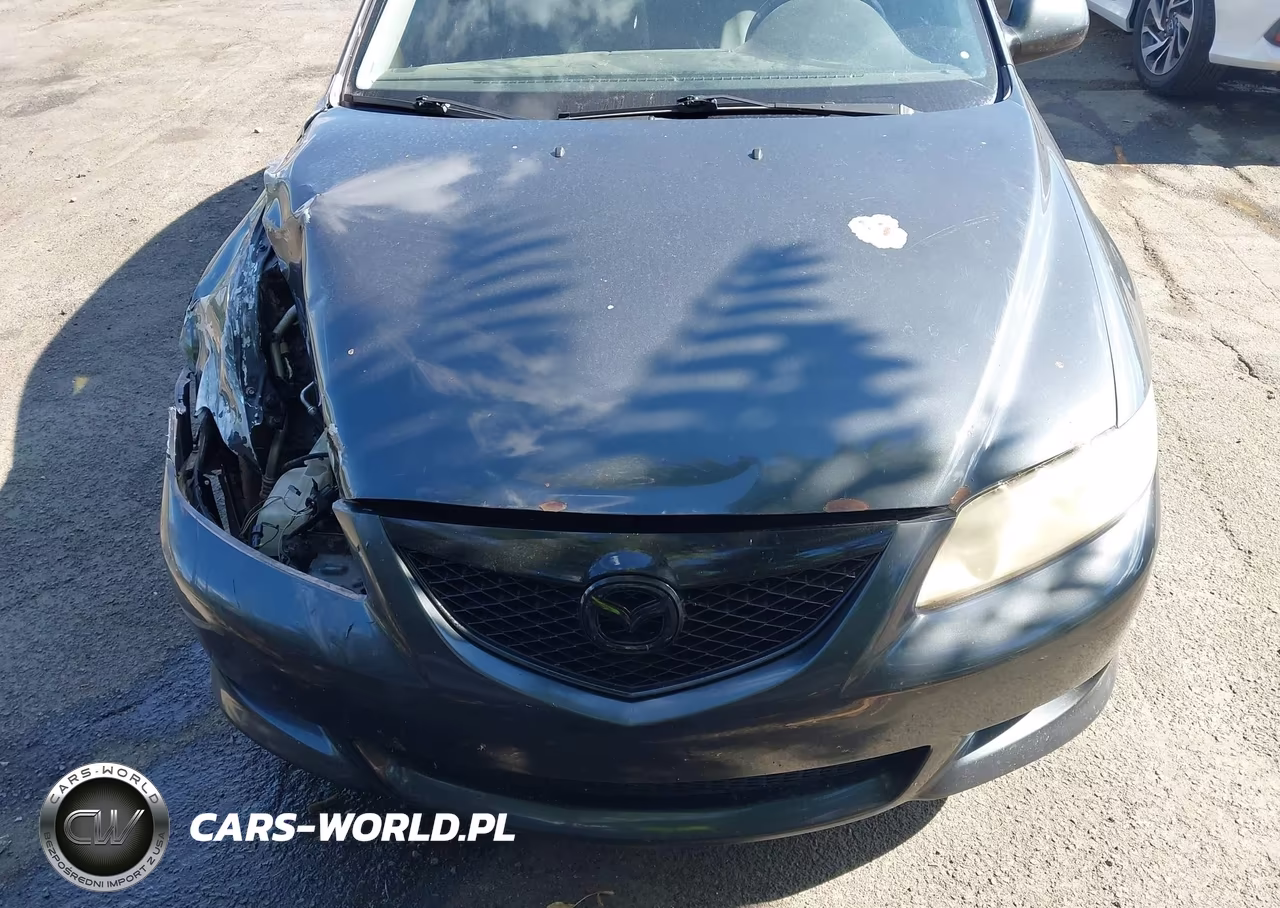 2004 Mazda Mazda6 I VIN:1YVFP80C745N09584 - 12