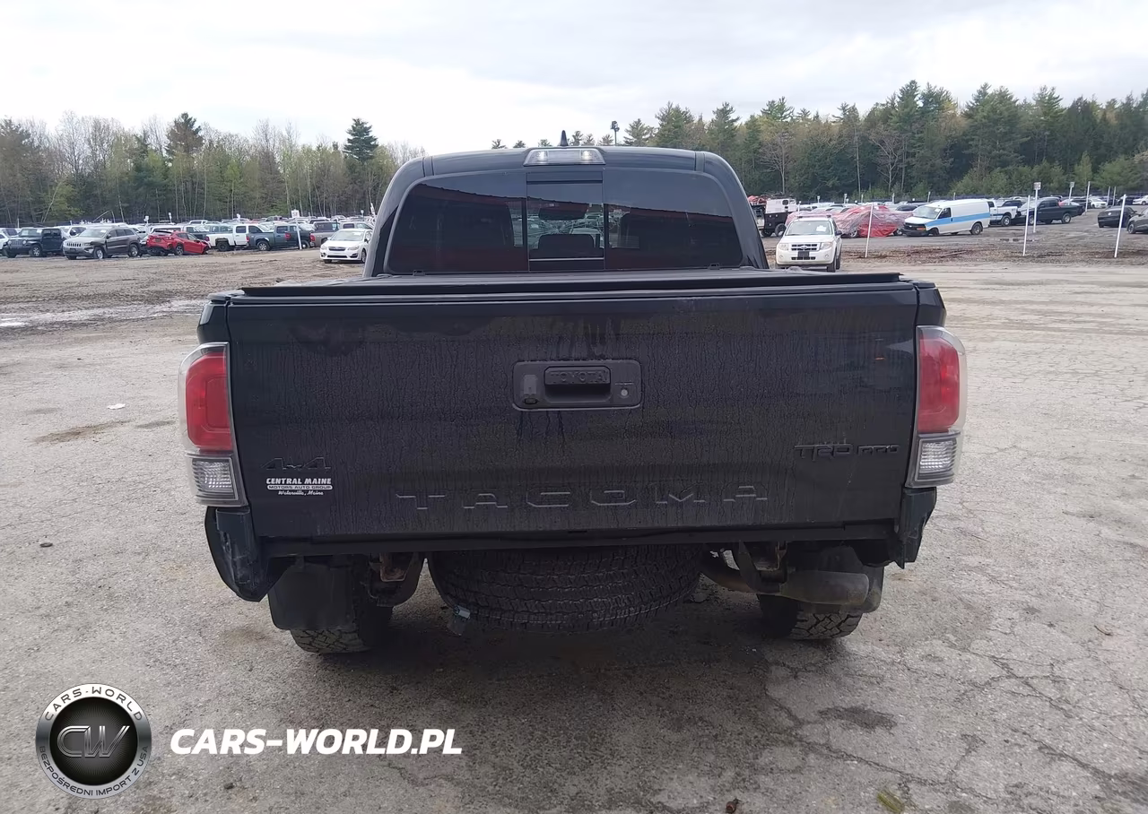 2019 Toyota Tacoma Trd Pro VIN:5TFCZ5AN5KX182900 - 17