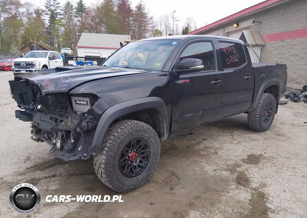 2019 Toyota Tacoma Trd Pro VIN:5TFCZ5AN5KX182900 - 2