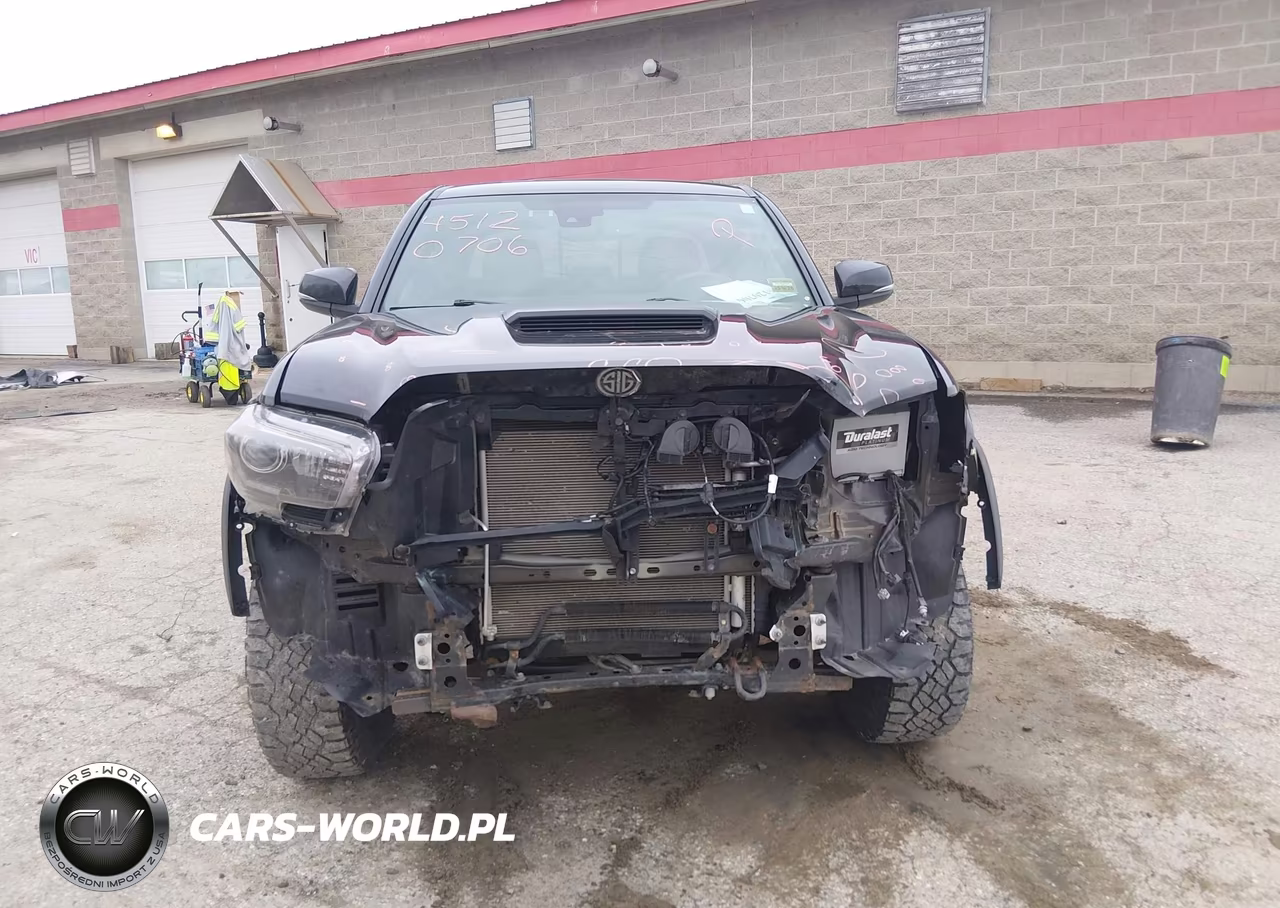 2019 Toyota Tacoma Trd Pro VIN:5TFCZ5AN5KX182900 - 6
