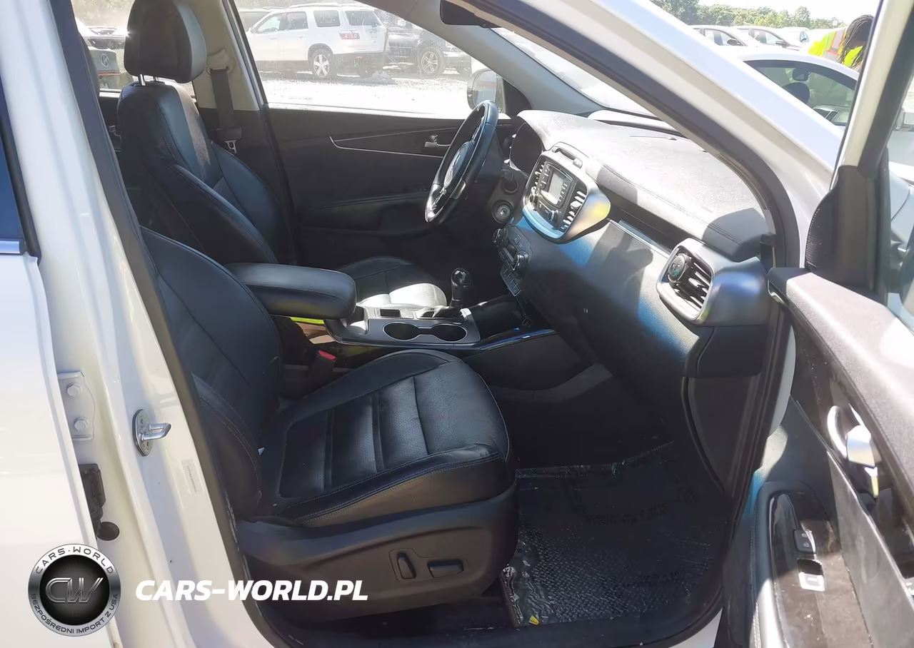 2016 Kia Sorento 2.0T Ex VIN:5XYPH4A12GG024830 - 5