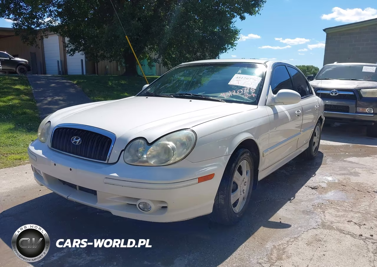 2003 Hyundai Sonata VIN:KMHWF25S53A831941 - 2