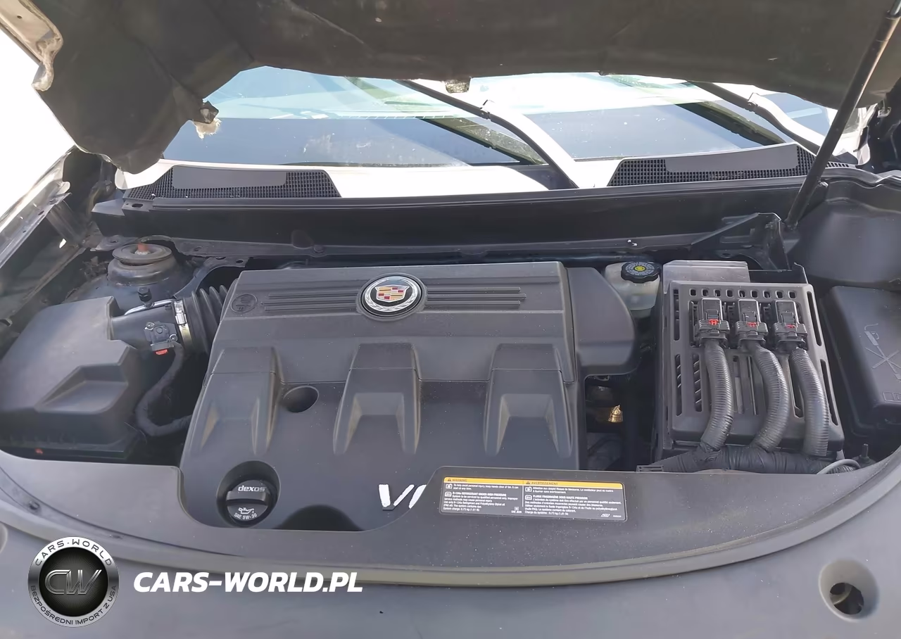 2012 Cadillac Srx Standard VIN:3GYFNGE3XCS642661 - 10